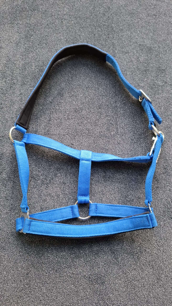 KANTRIE Halfter Meadow